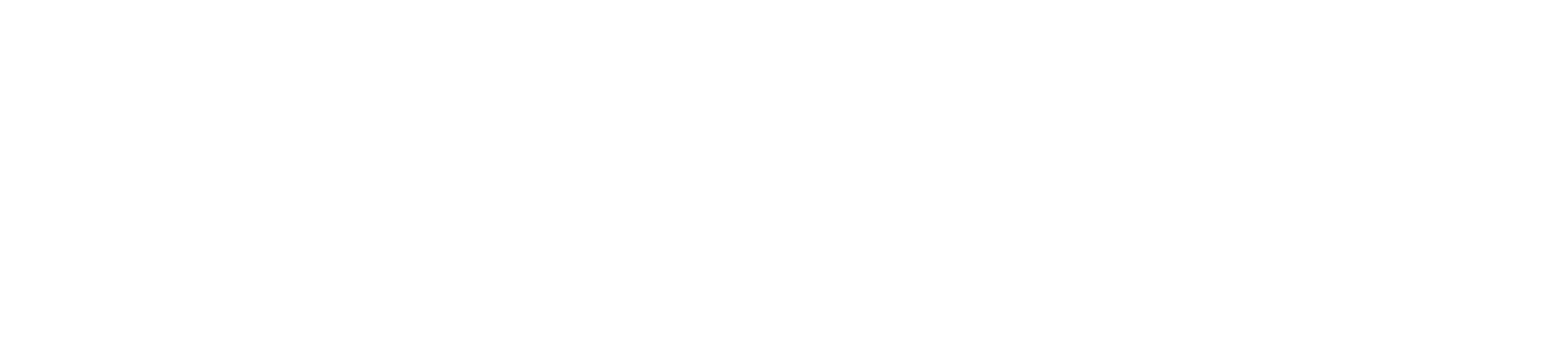 Sunset Chic Luxury logo